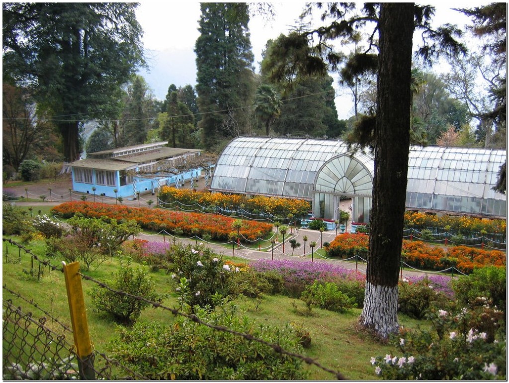 Darjeeling City Guide - Darjeeling Travel Attractions