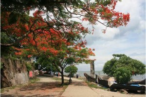 Fort Kochi Beach