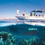 Scuba diving and Snorkelling Scuba diving and Snorkelling
