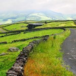 Surfing and Yachting Surfing and Yachting