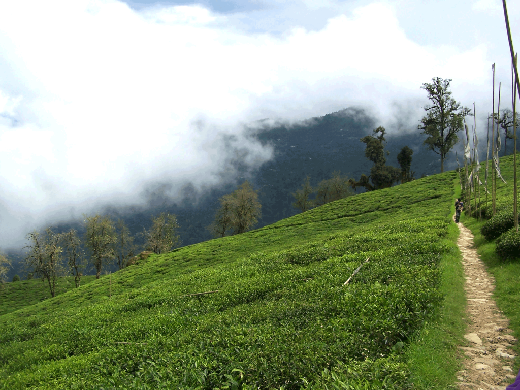 Darjeeling Hill Station - Darjeeling tourist places