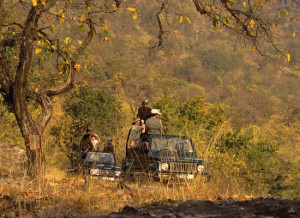 jeep safari - bandhavgarh