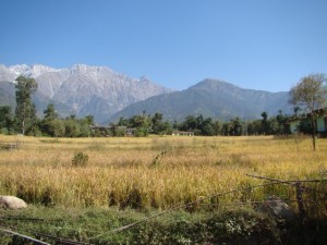 Andretta-Himachal-Pradesh-India
