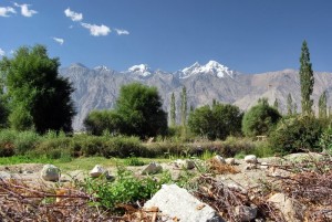 Sumu-village-Nubra-valley