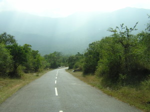 Masinagudi road
