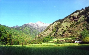 Jatoli village - solan Jatoli village - solan