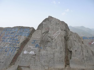 Chauli Jaali- uttarakhand Chauli Jaali- uttarakhand