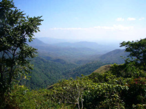 Ponmudi hill station