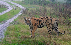 Rajiv Gandhi Wildlife Sanctuary