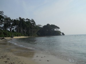 neil-island-natural-bridges neil-island-natural-bridges