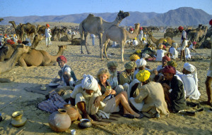 Pushkar Cattle Fair Pushkar Cattle Fair