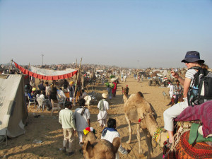 pushkar festivals pushkar festivals