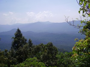 Agumbe hill station Agumbe hill station