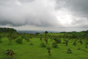 Igatpuri hill station Igatpuri hill station