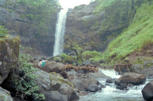 waterfalls Igatpuri waterfalls Igatpuri