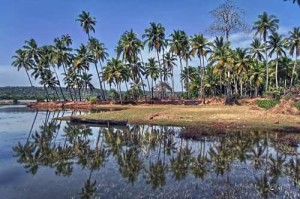 Chorao Island Goa Chorao Island Goa