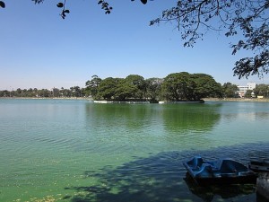 Ulsoor Lake - Bangalore