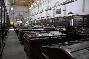 Indian Museum Kolkata Indian Museum Kolkata