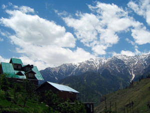 Kothi - Manali