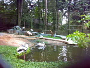 Zoological Garden trivandrum