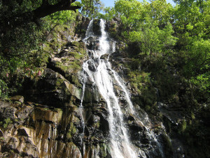 Bee Falls pachmarhi