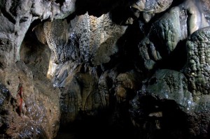 Limestone Caves Cherrapunji