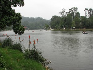 Kodaikanal Lake