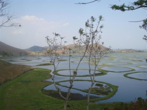 Loktak Lake