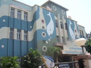 Taraporewala Aquarium Mumbai Taraporewala Aquarium Mumbai