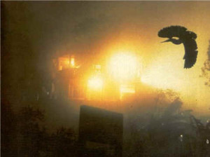 Jatinga assam Jatinga Assam