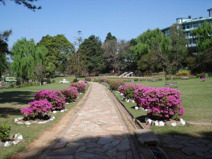 Lady Hydari park shillong