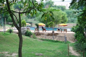 Picnic spots near Delhi places near Delhi Saras Resort Damdama lake