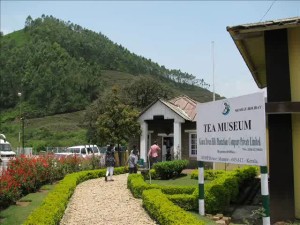 Tata Tea Museum munnar