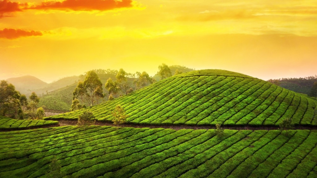 Munnar