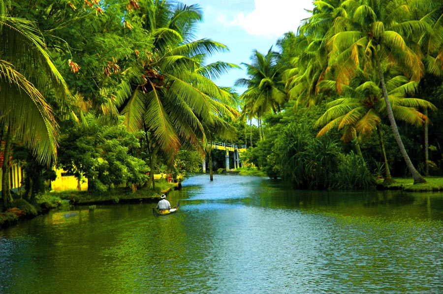 Backwaters-of-Alappuzha-in-Kerala[1]