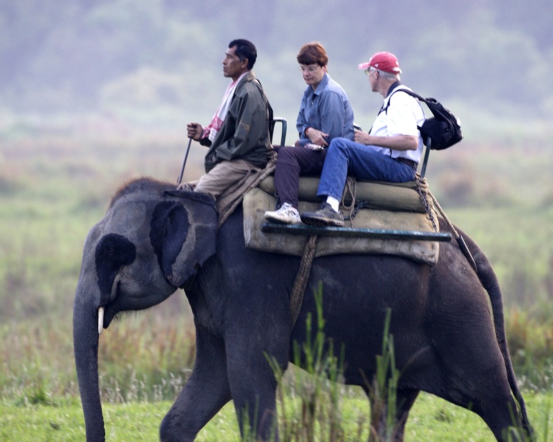 Elephant_safari_in_Kaziranga
