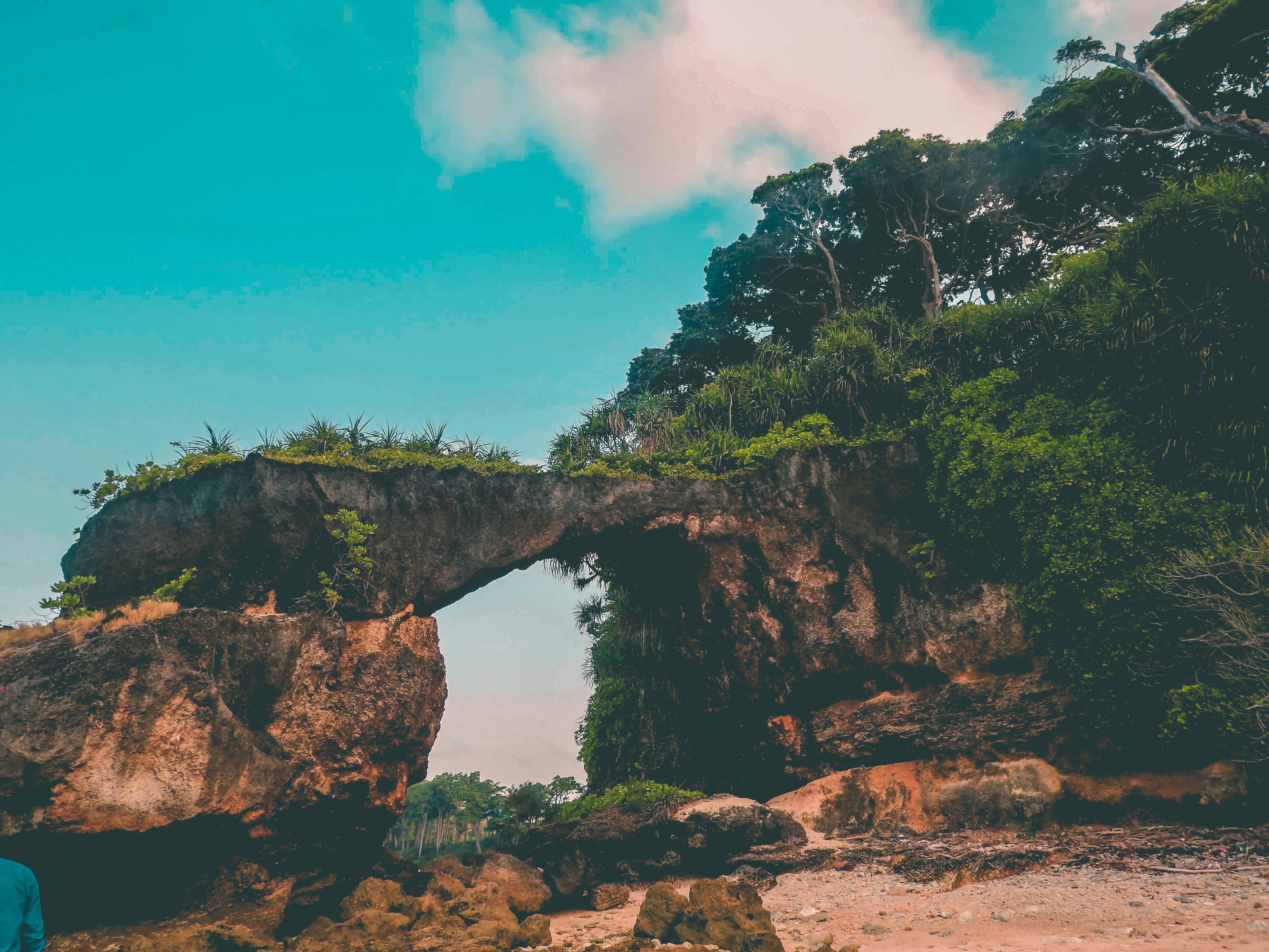 ishan das RdPEdHdL BU unsplash 8 Best Places to Visit in the Andaman and Nicobar Islands