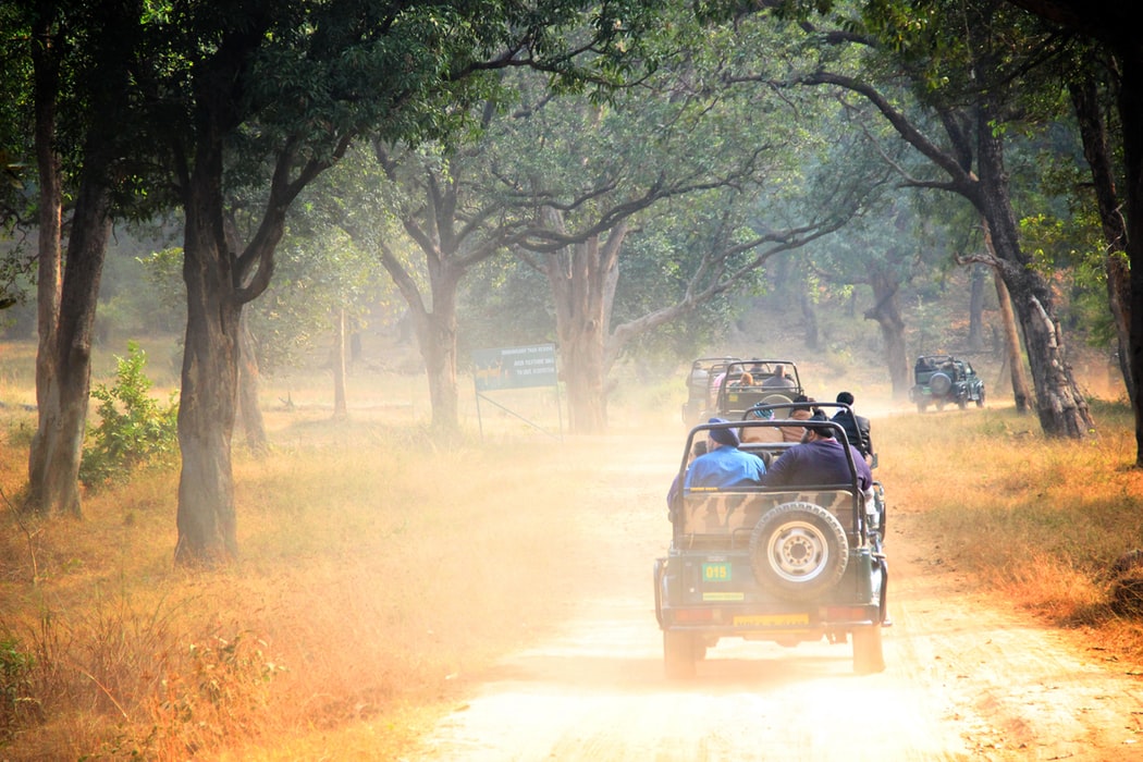 bandhavgarh 10 National Parks In India To Visit On Your Next Holiday