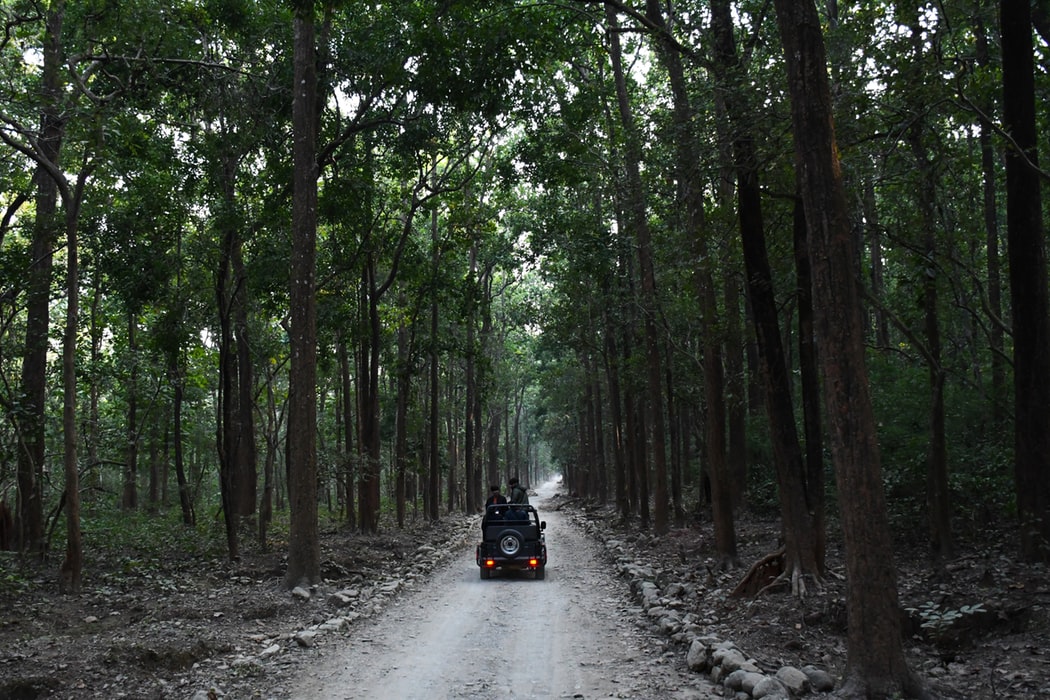 jim corbett 10 National Parks In India To Visit On Your Next Holiday