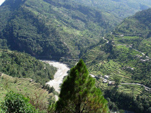 chopta valley