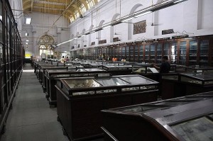 Indian Museum Kolkata Places to visit in Kolkata