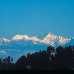 Darjeeling City Guide - Darjeeling Travel Attractions Botanical Garden Darjeeling Tiger Hill Botanical Garden Darjeeling