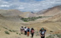 Fun Things to do in Ladakh