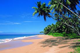 images 17 Places to visit in Goa