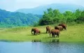 Periyar National Park - Periyar Wildlife Sanctuary India Wildlife Travel Periyar National Park – Periyar Wildlife Sanctuary