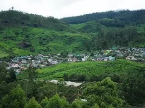 Devikulam hill station Adventure in Devikulam Devikulam hill station Adventure in Devikulam