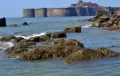 Murud Janjira Fort India Heritage Travel Murud Janjira Fort
