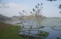 Loktak Lake - Manipur India Adventure Travel Loktak Lake – Manipur