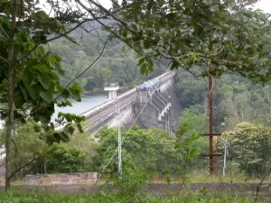 Peppara Wildlife Sanctuary kerala wildlife Peppara dam kerala wildlife