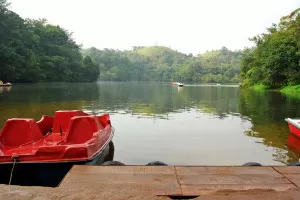 Pookode Lake Wayanad kerala tourism Pookode lake kerala tourism